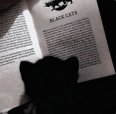 a black cat is sitting in front of an open book with the words black cats on it