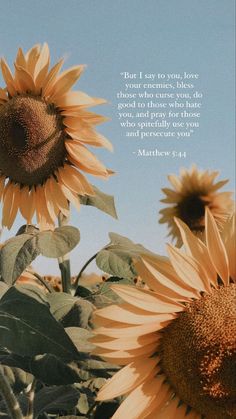 two sunflowers with a bible verse written in the middle and on the back