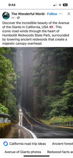 an image of a road in the middle of a forest with trees on both sides