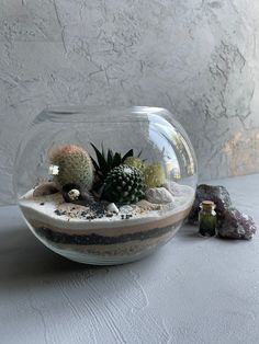 a glass bowl filled with plants on top of a white table next to two rocks