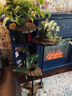 two plant stands with plants on them in front of a fireplace