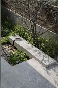 a concrete bench sitting next to a tree and shrubbery on the side of a building