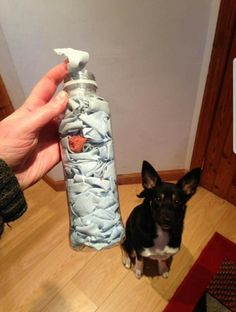 a small dog sitting on the floor next to a person's hand holding a bottle