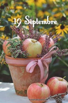 some apples are sitting in a pot on a table with flowers and pine cones next to it