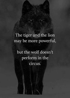 a black and white photo with a quote on it that says, the tiger and the lion may be more powerful, but the wolf doesn't perform in the circus