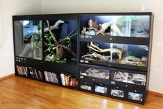 an aquarium with many different types of fish in it's display case on the wall