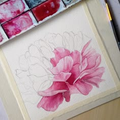 a pink flower sitting on top of a table next to some watercolor pencils