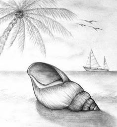 a drawing of a seashell with a sailboat in the background