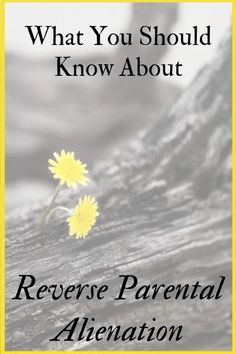 a book cover with the title what you should know about reverse parental alienation