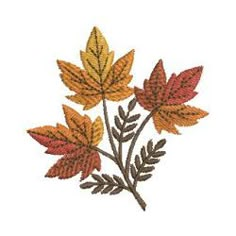 three autumn leaves on a white background