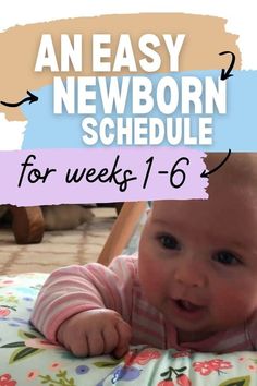 an easy newborn schedule for weeks 1 - 6 with text overlay that reads, an easy newborn schedule for weeks 1 - 6