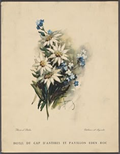 an old postcard with blue and white flowers