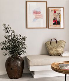 a living room with two pictures on the wall and a plant in a vase next to it