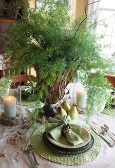 the table is set with plates, silverware and a potted plant on it