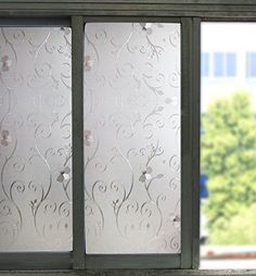 a window with frosted glass on the outside and trees in the back ground behind it