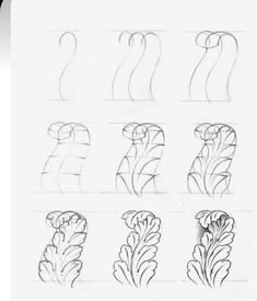 the steps in how to draw flowers