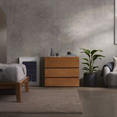 a bedroom scene with focus on the bed and nightstand, chair and plant in the foreground