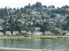 houses are on the hill above the water