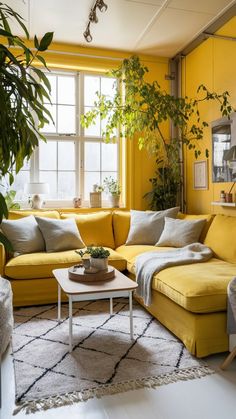 a living room with yellow furniture and plants in the window sill, along with a white rug on the floor