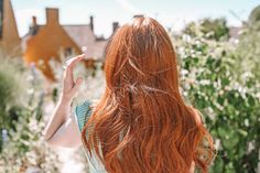 Dry shampoo for redheads can be hard to come by, however we've tracked down tree products you might want to try Red Hair Shampoo, Natural Dry Shampoo, Dry Shampoo Powder, Batiste Dry Shampoo, Pregnancy Diary