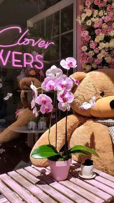 a large teddy bear sitting on top of a wooden table next to a flower pot