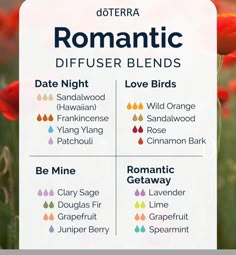 Romantic Diffuser Blends, Essential Oil Perfumes Recipes, Do Terra, Soup Ideas, Homemade Perfume, Fragrance Blends, Zen Life, Natural Things, Essential Oil Diffuser Blends Recipes