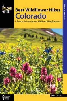 the best wildflower hikes in colorado