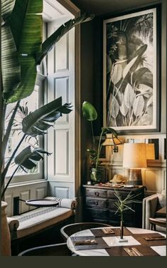 a living room filled with furniture and plants