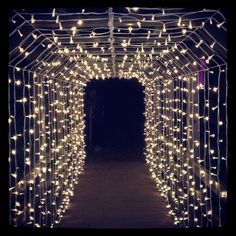 an archway covered in white lights at night