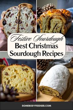 the best christmas sourdough recipes