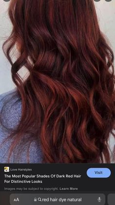 Natural Dark Red Hair, Warm Red Hair, Deep Auburn Hair, Auburn Red Hair, Deep Red Hair, Dark Red Hair Color, Red Hair With Highlights, Red Blonde Hair, Red Hair Inspo