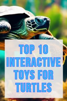 a turtle with the words top 10 interactive toys for turtles