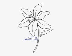 the outline of a flower on a white background