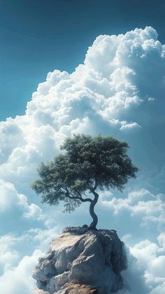 a tree on top of a rock in the middle of clouds with blue sky above