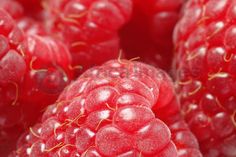 raspberries close up with water droplets on them