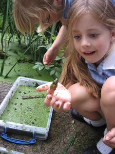 two children are looking at some plants in a box with dirt on the ground and one child is reaching for something