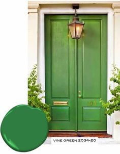 a green door with a lamp on the side and potted plants next to it