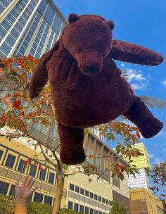 a giant teddy bear hanging from a tree in front of a tall building with windows