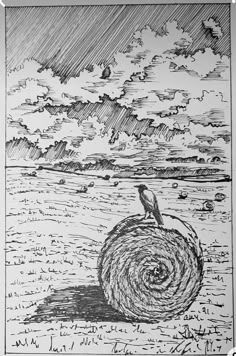 an ink drawing of a bird sitting on top of a ball in the middle of a field