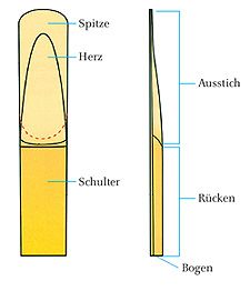 the parts of an electric toothbrush are labeled in this diagram, which shows their features