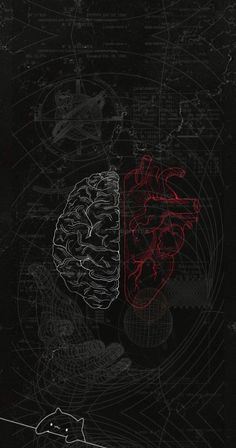 the left and right side of a brain on a black background with red lines in it