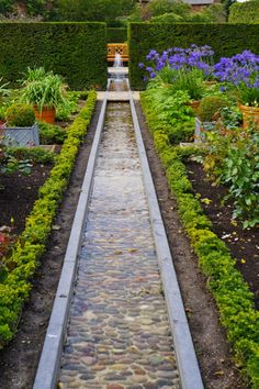 a garden with many different types of flowers and plants around it, including water running through the center