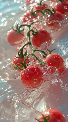 several tomatoes are floating in water on the surface, with small green stems sprouting from them