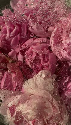 pink flowers with water droplets on them in a bowl