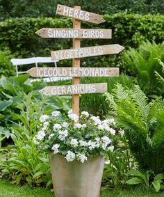 a potted planter filled with white flowers and wooden signs pointing in different directions