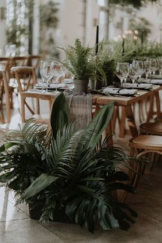 a dining room table set with plants and wine glasses