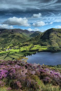 a lake surrounded by lush green hills under a cloudy sky with purple flowers in the foreground