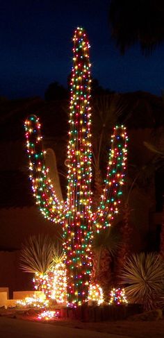 a large cactus covered in christmas lights at night