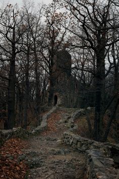 a stone path leading to an old building in the woods