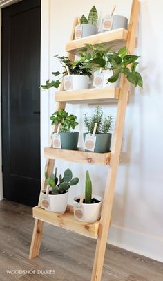 a wooden ladder filled with potted plants